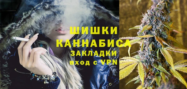 бошки Надым