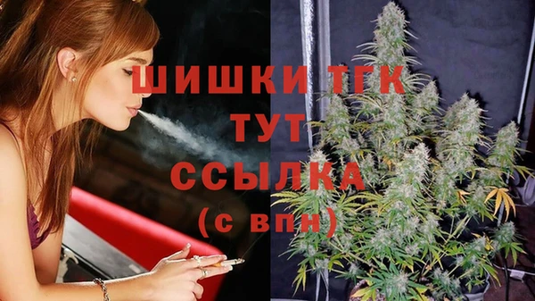 бошки Надым
