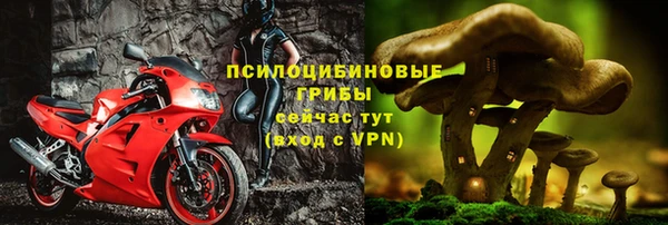 бошки Надым