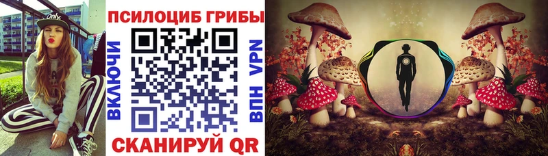 Псилоцибиновые грибы MAGIC MUSHROOMS  Щучье 